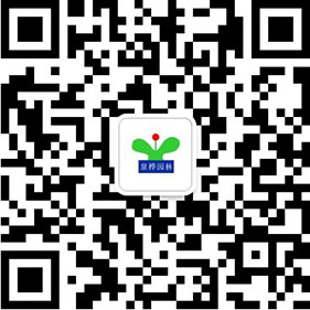 泉桦公众号